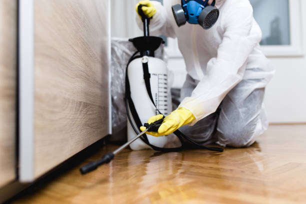 Best Exterminator Services  in Pasadena, TX