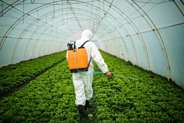 Best Commercial Pest Control Services  in Pasadena, TX