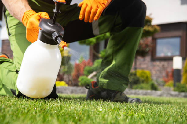 Best Local Pest Control Services  in Pasadena, TX